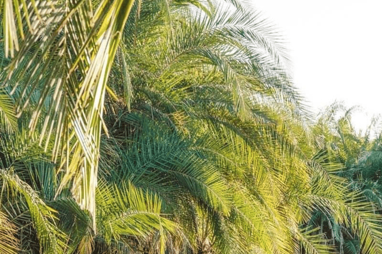 3-Day Materuni Waterfall, Chemka Hot Springs & Lake Eyasi