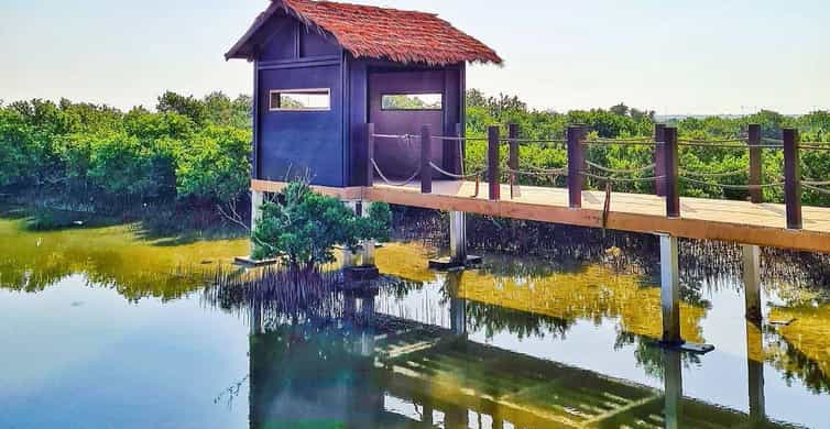 Doha: Zubara UNESCO Site, Mangroves & Jumail Village photo 12