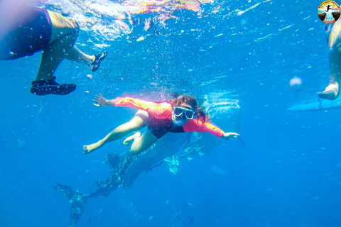 Cebu: 2-Day Island-Hopping, Canyoneering, and Whale Shark
