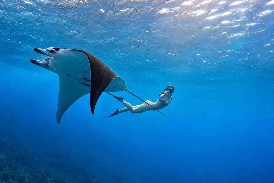 Ab Bali: Schnorcheltour an 3 Orten in Nusa Penida & West Island. Foto: GetYourGuide Ab Bali: Schnorcheltour an 3 Orten in Nusa Penida & West Island. Foto: GetYourGuide