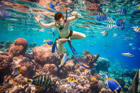HRG: Orange Bay Island with Snorkeling, Lunch and Drinks Private Transportation + Full package