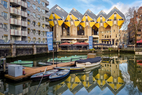 Rotterdam: PRIVATE Highlight & Hidden Gems Walk With Local