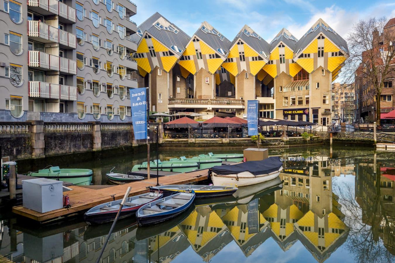 Rotterdam: PRIVATE Highlight & Hidden Gems Walk With Local