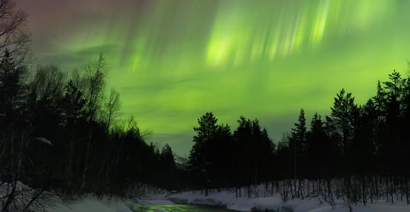 Tromsø: Northern Lights Trip with Campfire and Snacks