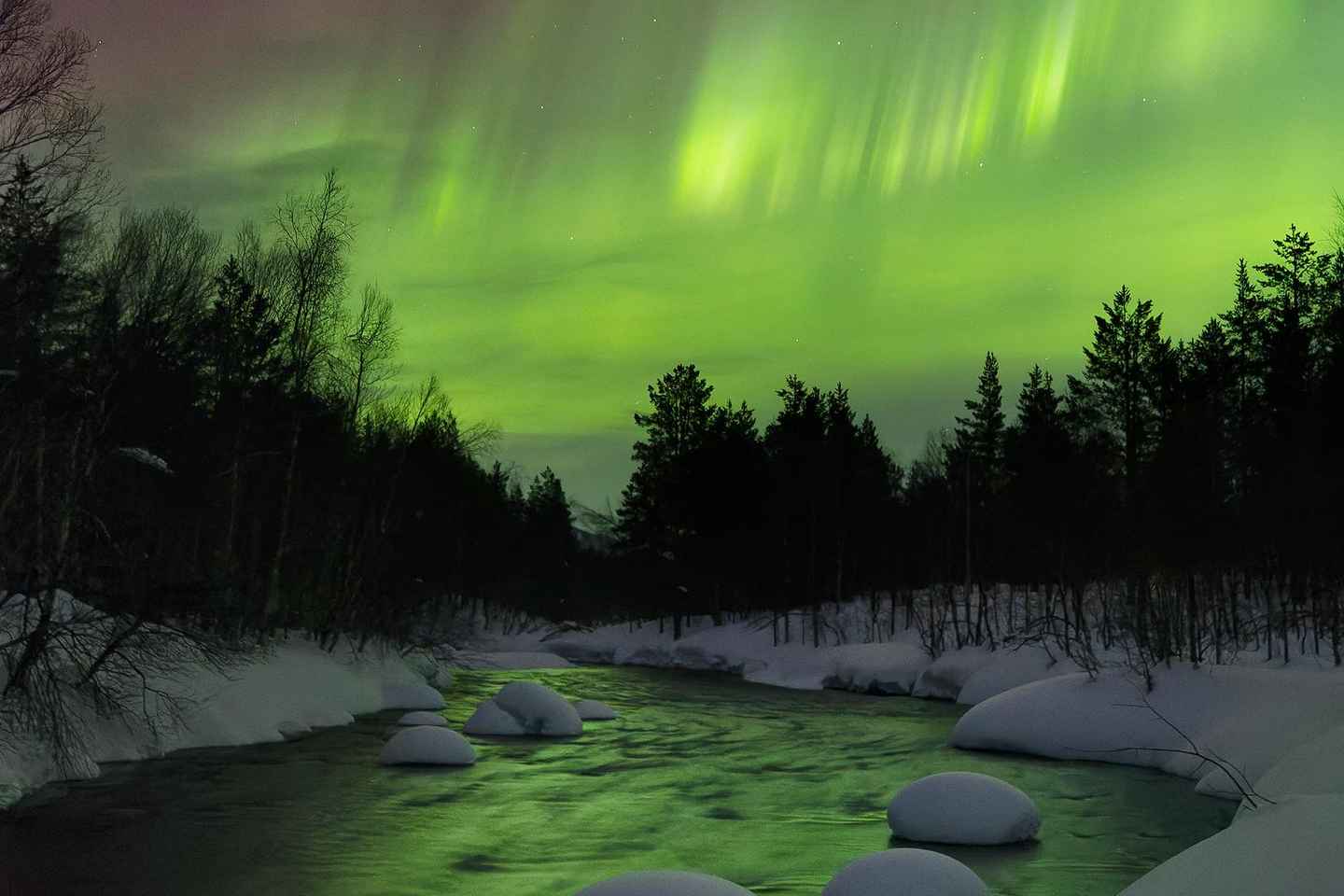 トロムソ：オーロラ観賞とキャンプファイヤー体験