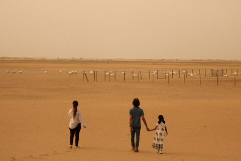 Doha: Desert Safari Tour with Wildlife Experience & Transfer