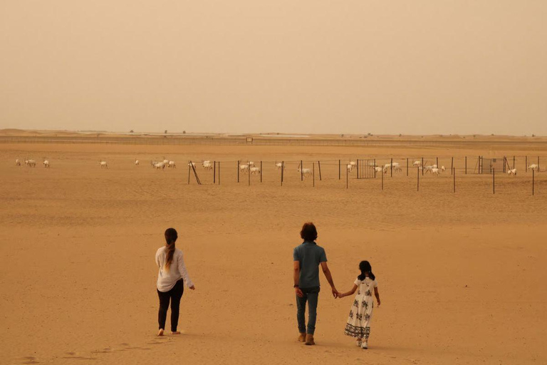 Doha: Desert Safari Tour with Wildlife Experience & Transfer