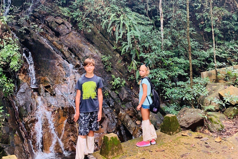 From Bentota: Sinharaja Forest Trekking with Waterfall Bath Pick up from Ahungalla / Bentota
