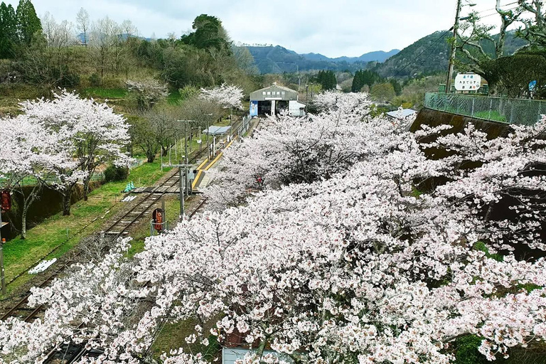 Fukuoka: Takachiho Gorge & Scenic Railway One Day Tour Limited-Time One-Day Tour (Excluding Admission Fees)