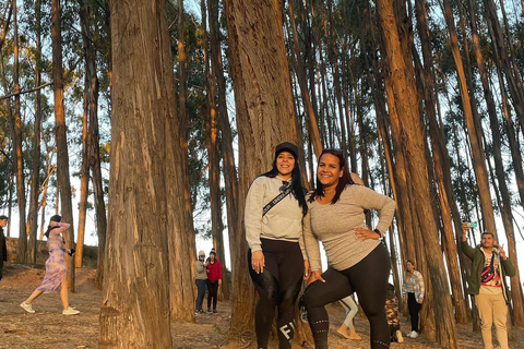 Paseo a caballo por Sacsayhuaman, Qenqo y el bosque de eucaliptos