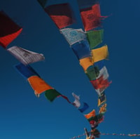 Seguimiento del campamento base de Annapurna - Nepal - Housity