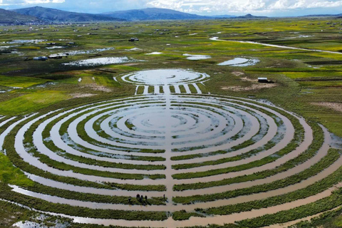 Exkursion nach Chucuito, Aramu Muru und Juli