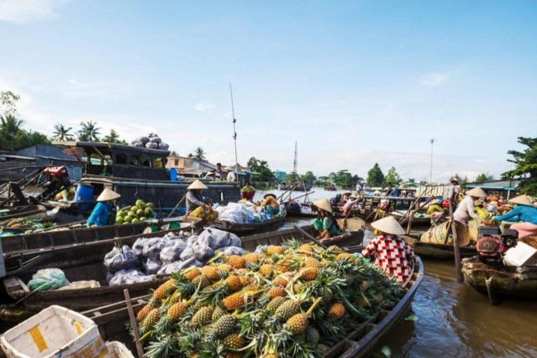 Ho Chi Minh: Cu Chi Tunnels Tour from Phu My Port Private Car ( Only Driver & Transport)