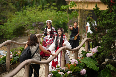 Hanoi to Sapa: Terraced Fields, Culture & Cuisine – 3 Days