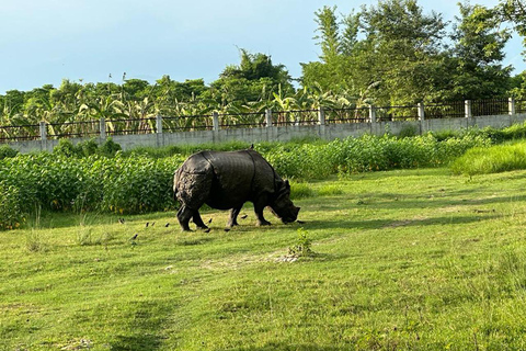 From Kathmandu to Chitwan: Jungle Safari + Meals &amp; Transport