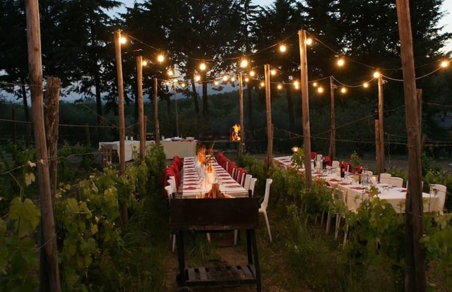 San Gimignano: Chianti Wine Tasting & Dinner Tour