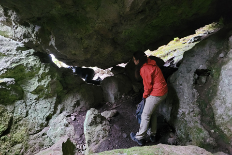 2-Day Sierra Norte Cloud Forest Adventure