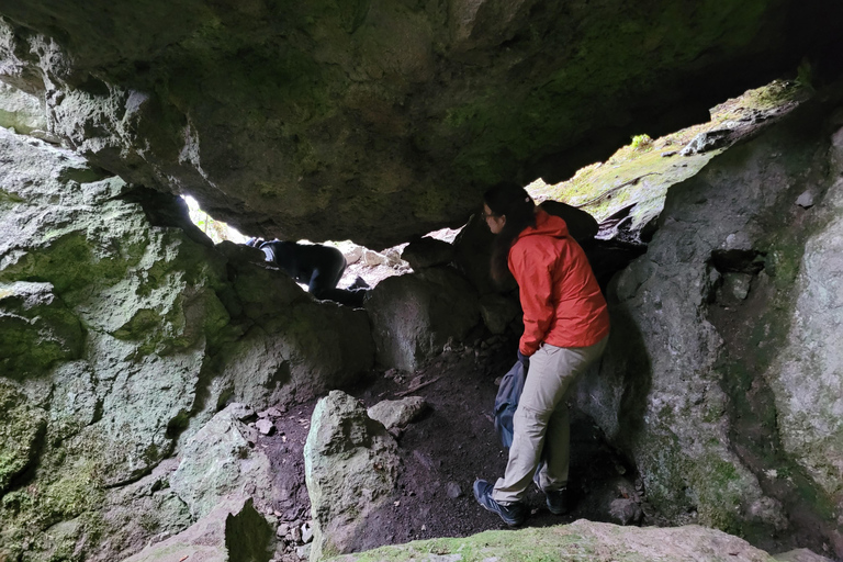 2-Day Sierra Norte Cloud Forest Adventure