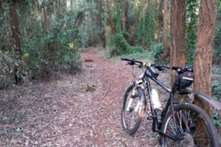 Nairobi: Karura Forest Bike Rental and Waterfall Walk