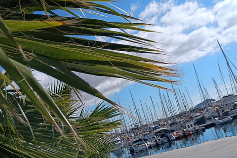 Tenerife: PRIVATE Catamaran cruise with Lunch and Drinks