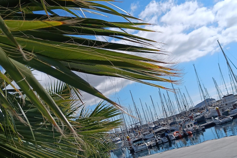 Tenerife: PRIVATE Catamaran cruise with Lunch and Drinks