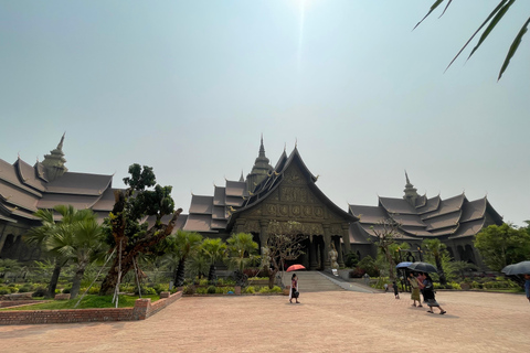 Vientiane: City Day Tour with New Laos Art Museum Join tour