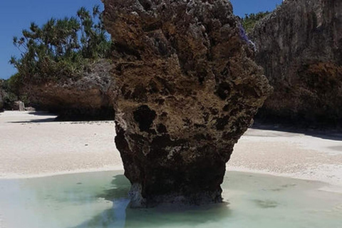 Zanzibar: Fängelseön, Jozani-skogen och Mtende-strandenPrivat tur med upphämtning och avlämning vid hotell ingår