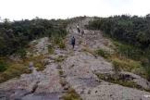 Nairobi: Kipipiri Bamboo Forest Hike with Transfer