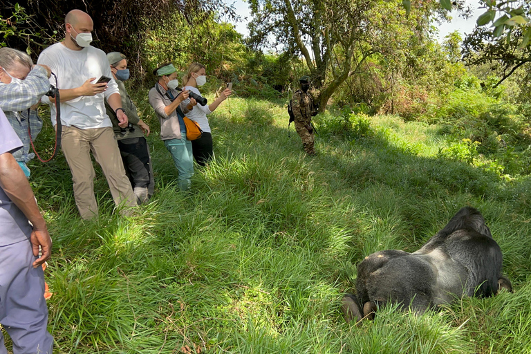 Experiência de 4 dias em Ruanda, Uganda e Gorilla Trekking Tour