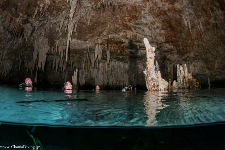 Crete: Chania Guided Diving Experience for Certified Divers