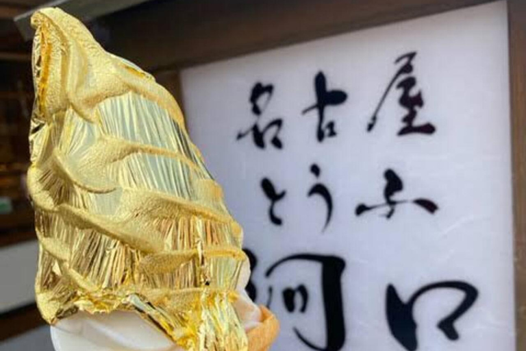 Tour clássico por Nagoya com van particular