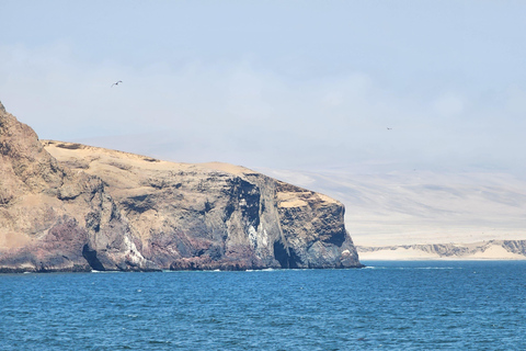 Tour por la reserva de Paracas, las islas Ballestas, Huacachina y las dunasReserva de Paracas, islas Ballestas, Huacachina y dunas