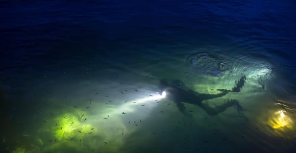 San Juan: Escambron Beach Park Night Snorkeling Tour