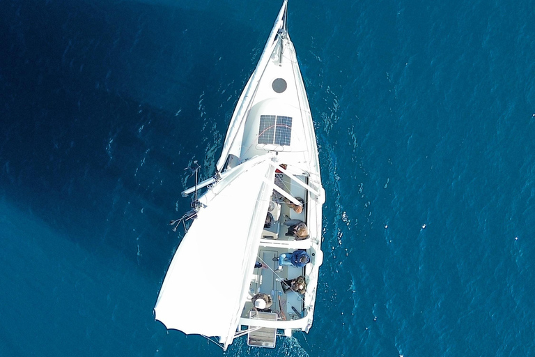 Antibes : Discover the Art of Sailing on a Scenic Cruise