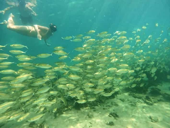 Koh Tao: Full-Day Snorkeling Tour with Lunch & Hotel Pick-up
