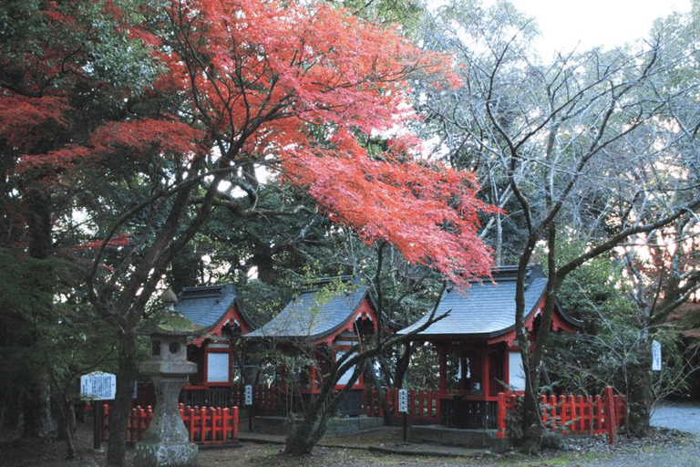 Nagoya: Monet's Pond, Mino Old Town & Shrine Day Trip