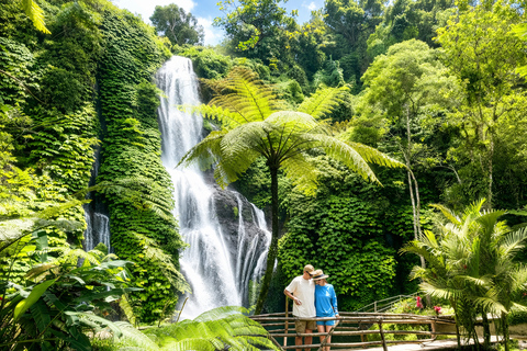 North Bali: Highlight Private Tour with Female Guide Private Tour Without Tickets