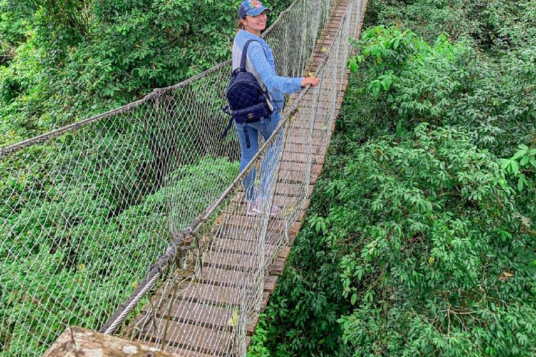 Au départ de Puerto Maldonado : excursion dans la canopée de la forêt tropicale InkaterraDepuis Puerto Maldonado : circuit dans la canopée de la forêt tropicale Inkaterra