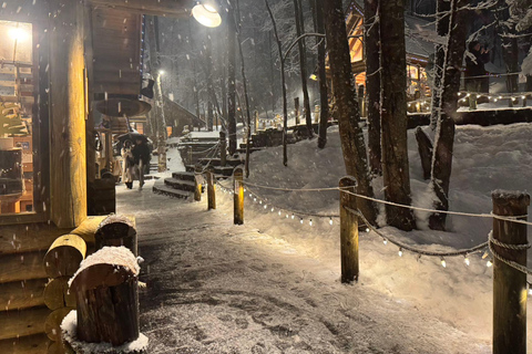 Asahiyama Zoo, Biei, and Ningle Terrace Night View Tour