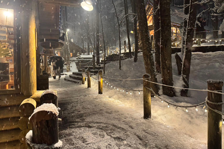 Asahiyama Zoo, Biei, and Ningle Terrace Night View Tour