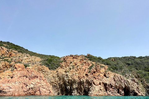 Sagone/Cargèse: Calanques de Piana and Capo Rosso Boat TourFrom Sagone