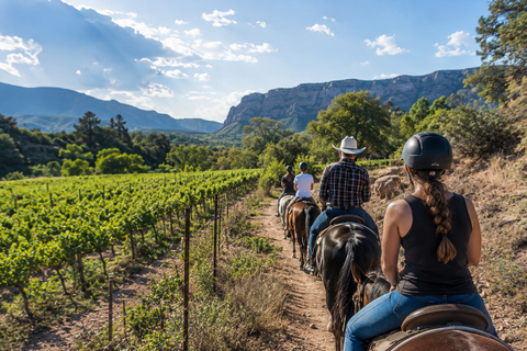 Sedona: Scenic Horseback Ride Through Arizona Wine Country