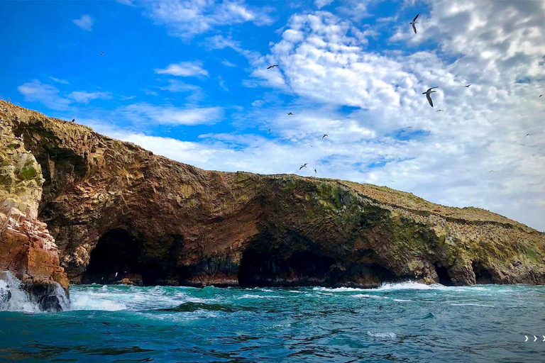 Journée entière aux îles Ballestas et planche à voile à Huacachina