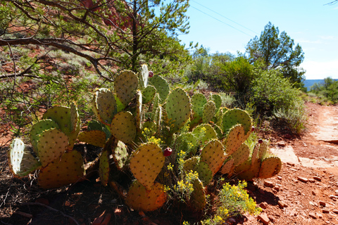 Bell Rock Hike: Vortex, Views & Spiritual History of Sedona