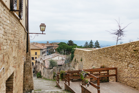 Florence: Pisa, Siena, San Gimignano, and Chianti Experience