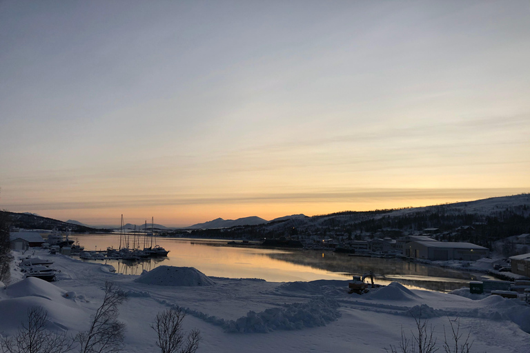 Grøtfjord, Tromsø. Unique Artic scenic route. From Tromsø: Guided Nature Tour & Local Eats Stop and Shop