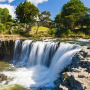 Glowworm Caves & Waterfalls Guided Tour in Bay of Islands Glowworm Caves & Waterfalls Guided Tour in Bay of Islands