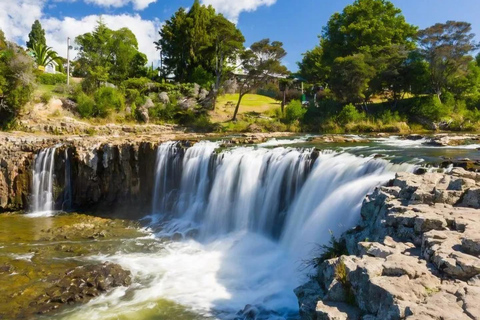 Glowworm Caves & Waterfalls Guided Tour in Bay of Islands