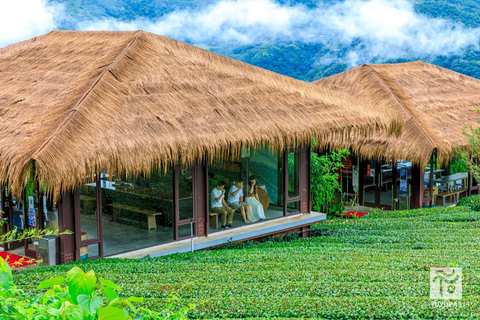 From Taichung/Kaohsiung/Chiayi/Alishan: Alishan Hidden Gems Join-in Tour (Start & End in Chiayi)