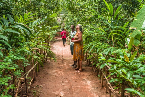 ZANZIBAR: Farma przypraw, jaskinia Salam, pływanie z żółwiami i restauracja RockWYCIECZKA PRYWATNA Z TRANSPORTEM